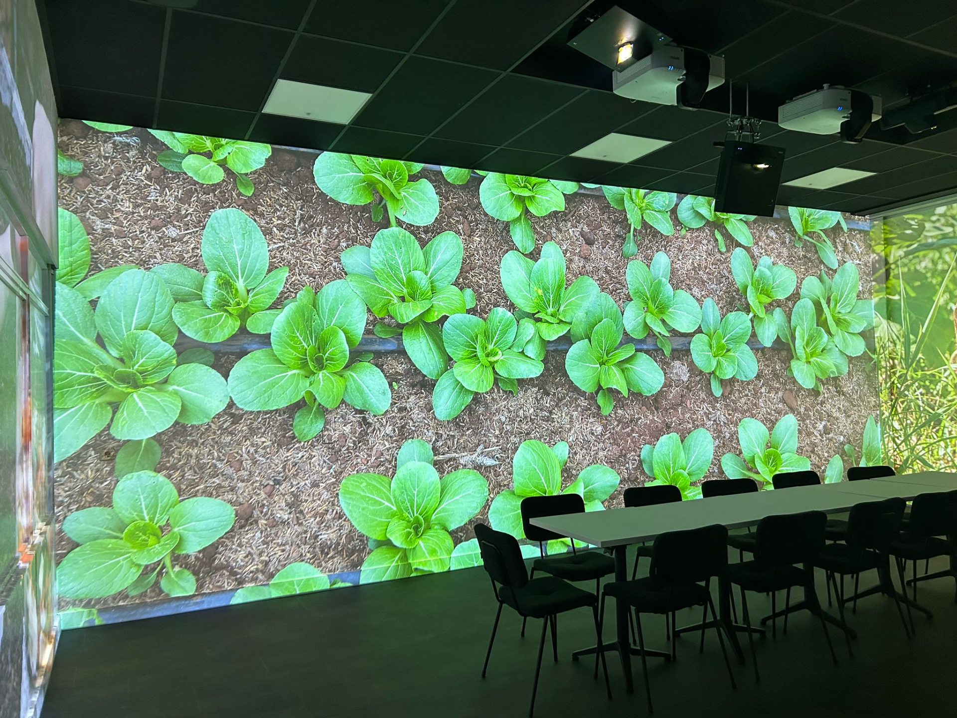 permaculture projection.jpg